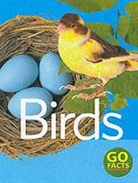 Paul McEvoy, McEvoy Paul - Birds