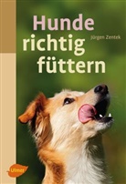 Helmut Meyer, Jürgen Zentek - Hunde richtig füttern