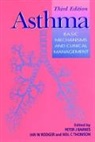 P.j. Rodger Barnes, Peter J Barnes, Peter J. Barnes, Peter J. Barnes, Ian W Rodger, Ian W. Rodger... - Asthma