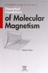 Roman Bo a., Bo&amp;, Roman Bo&amp;269;a, R. Bo&amp;ccaron a., R. Boca, R. (Institute of Inorganic Chemistry Boca... - Theoretical Foundations of Molecular Magnetism