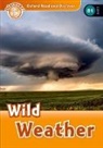 Jacqueline Martin - Wild Weather