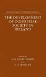 J. H. (Official Fellow Goldthorpe, J. H. Whelan Goldthorpe, John H. Whelan Goldthorpe, GOLDTHORPE JOHN H WHELAN CHRIST, J. H. Goldthorpe, J. H. (Official Fellow Goldthorpe... - Development of Industrial Society in Ireland