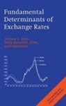 Polly Reynolds Allen, Polly Reynolds (Professor of Economics Allen, Allen Polly Reynolds, etc., Jerome L. Stein, Jerome L. (Eastman Professor of Political E Stein... - Fundamental Determinants of Exchange Rates