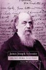 Karen Hunger Parshall, Karen Hunger (Associate Professor of His Parshall, Karen Hunger (Associate Professor of History and Mathematics Parshall, Parshall Karen Hunger, James Joseph Sylvester, James Joseph Parshall Sylvester... - James Joseph Sylvester: Life and Work in Letters