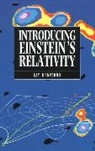 &amp;apos, D&amp;apos, Ray d'Inverno, Ray (Lecturer at the Faculty of Mathematical Studies d'Inverno, R.a. D''inverno, Ray D''inverno... - Introducing Einstein's Relativity