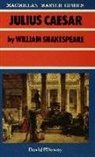 David Elloway - 'Julius Caesar' By William Shakespeare
