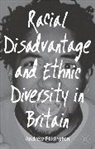 Andrew Pilkington, PILKINGTON ANDREW - Racial Disadvantage and Ethnic Diversity in Britain