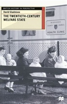 David Gladstone - The Twentieth-Century Welfare State