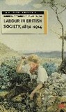 Donald MacRaild, Donald M. Macraild, Donald M. (Reader in Social and Cultural Macraild, David E Martin, David E. Martin - Labour in British Society, 1830-1914