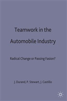 Juan José Castillod, Jean-Pierre Etc. Stewart Durand, DURAND JEAN PIERRE ETC STEWART, Durant, Kenneth A Loparo, Juan Jose Castillo... - Teamwork in the Automobile Industry