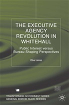 O James, O. James, Oliver James - Executive Agency Revolution in Whitehall