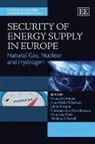 Francois (EDT) Leveque, Francois Glachant Leveque, Julian Barquin, Jean-Michel Glachant, Franziska Holz, Francois Leveque... - Security of Energy Supply in Europe