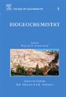 Schlesinger, William H. Schlesinger, H. D. Holland, W H Schlesinger, W. H. Schlesinger, W.H. Schlesinger... - Biogeochemistry