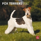 Browntrout Publishers (COR) - Wirehaired Fox Terriers 2012 Calendar