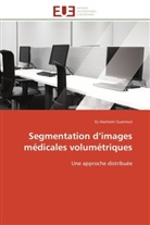 EL-Hachemi Guerrout, Guerrout-E - Segmentation d images medicales