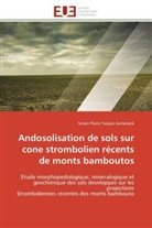 Jiomeneck-S, Simon Pierre Tsopjio Jiomeneck - Andosolisation de sols sur cone