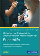 Abstei, Hans J. Abstein, Hans Joachim Abstein, Gastige, Sigmund Gastiger, Sigmun Gastiger (Dr.)... - Methoden der Sozialarbeit in unterschiedlichen Arbeitsfeldern der Suchthilfe