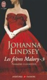 Johanna Lindsey - Les frères Malory. Vol. 3. Passagère clandestine