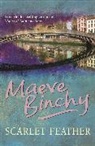 Maeve Binchy - Scarlet feather