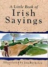 John Berkeley - Little Book of Irish Sayings