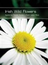 Ruth Isabel Ross - Irish Wild Flowers