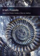 Patrick Graffikin - Irish Fossils