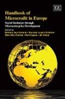 Karl Dayson, Barbara (EDT)/ Lacalle Jayo, Barbara Jayo Carboni, Barbara Lacalle Caldero Jayo Carboni, Barbara Lacalle Calderon Jayo Carboni, Jill Kickul... - Handbook of Microcredit in Europe