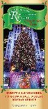 Alexandra Lewis - Grow Your Own Rockefeller Center Christmas Tree