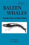 &amp;apos, V.a. Mead ev, V E Arsen''''ev Sokolov, V. E. Arsen&amp;apos Sokolov, V. E. Arsen''''ev Sokolov, V. E./ Arsen'ev Sokolov... - Baleen Whales