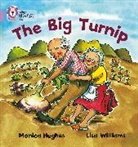 Collins Educational, Monica Collins Educational Hughes, Monica Hughes, Monica Collins Educational Hughes, Hughes Monica, Lisa Williams... - The Collins Big Cat