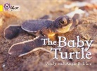 Andy Belcher, Andy Belcher Belcher, Angie Belcher, Belcher Andy, Belcher Angie - The Baby Turtle