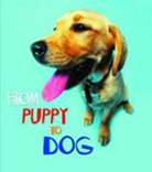 Anita Ganeri - From Puppy to Dog