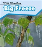 Catherine Chambers - Big Freeze