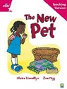 New Pet Guided Reading Teaching Version