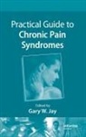 Gary W. Jay, Gary W. (Schwarz Biosciences Jay, JAY GARY W, Gary W Jay, Gary W. Jay, Jay Gary W. - Practical Guide to Chronic Pain Syndromes