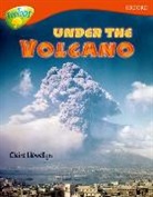 Sarah Fleming, Mick Gowar, Mick Fleming Gowar, GOWAR MICK FLEMING SARAH LLEWELL, Claire Llewellyn, Fiona Macdonald - Oxford Reading Tree: Level 13: Treetops Non-Fiction: Under the Volcano
