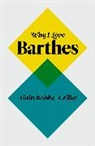 a Robbe-Grillet, Alain Robbe-Grillet - Why I Love Barthes