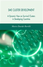 M Parrilli, M. Parrilli, Mario Davide Parrilli - Sme Cluster Development