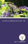 Joel S. Goldsmith, Joel S./ Sinkler Goldsmith - Consciousness Is What I Am