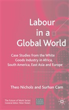 Sa1/4rhan Aam, S Cam, S. Cam, Surhan Cam, Nichols, T Nichols... - Labour in a Global World