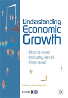 Organisation for Economic Co-operation and (OECD), Organisation for Economic Co-operation and Development (OECD), OECD: Organisation for Economic Co-operation and Development, Organisation for Economic Co-Operation and Develop - Understanding Economic Growth