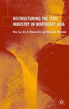 H. Lee, Hiro Lee, O Movshuk, O. Movshuk, Oleksandr Movshuk, Ramstetter... - Restructuring of the Steel Industry in Northeast Asia