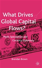 B Brown, B. Brown, Brendan Brown - What Drives Global Capital Flows?