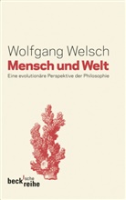 Wolfgang Welsch - Mensch und Welt