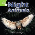Claire Llewellyn - Night Animals: Green Level, Book 2 (With Parent Notes) (Rigby Rocket)