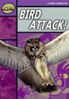 Claire Llewellyn - Bird Attack!