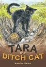 Maurice Burns - Pocket Tales: Grey: Level 5: Tara the Ditch Cat