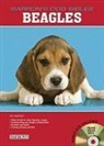 Eve Adamson - Beagles