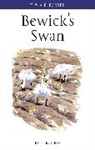 Eileen Rees, Rees Eileen - Bewick's Swan