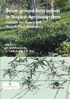 Georg Cadisch, Meine van Noordwijk, Meine Van (EDT)/ Van Noordwijk Noordwijk, Chin K. Ong, Georg (Department of Biological Sciences Cadisch, Meine van (World Agroforestry Centre Noordwijk... - Below-Ground Interactions in Tropical Agro-Ecosystems